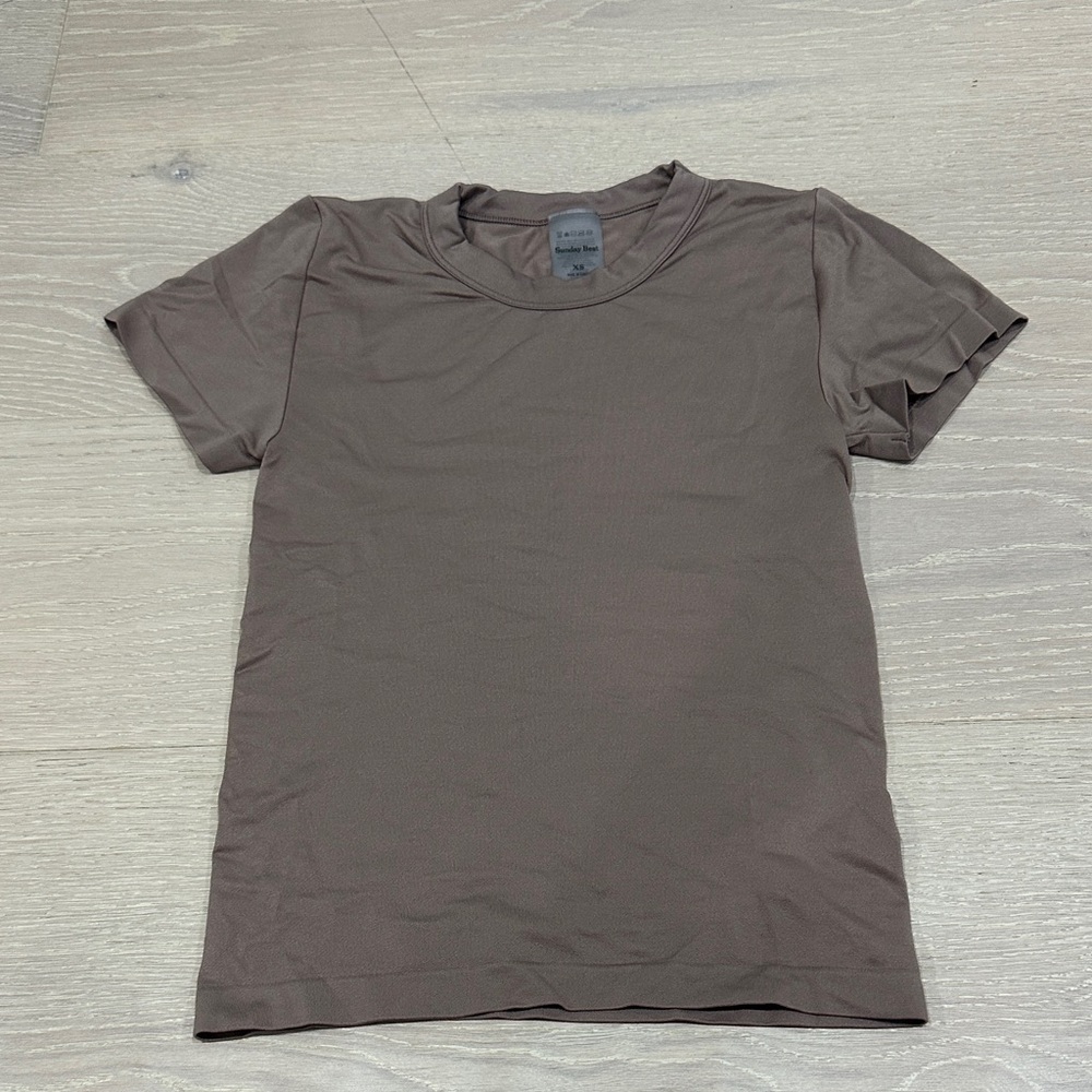 Aritzia Short Sleeve Tee